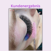 Lila Wimpern - 6D fertige Wimpernfächer - 6in1 Mixbox Künstliche Wimpern 0.07 CC - WUM Germany